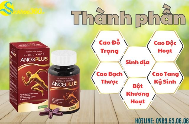 Thành Phần Chính Của Viên Uống Xương Khớp AnCoplus