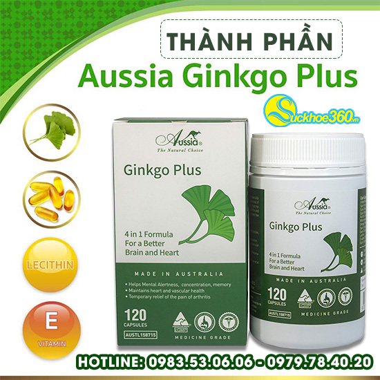 thành phần Aussia Ginkgo Plus hỗ trợ hoạt huyết, tăng cường lưu thông máu não