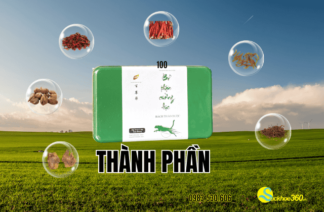 thành phần Bổ Thận Cường Lực Bách Thảo Dược