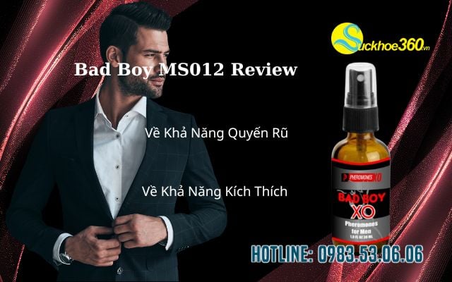 Bad Boy Review Từ Người Dùng