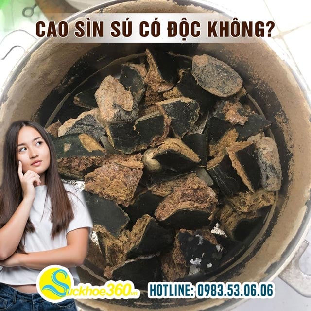 Cao Sìn Sú có độc không?