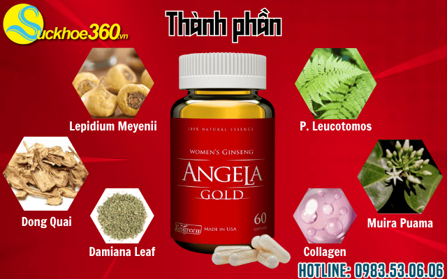 Thành phần chính của viên uống Sâm Angela Gold
