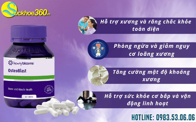 Công dụng của Osteoblast Henry Blooms