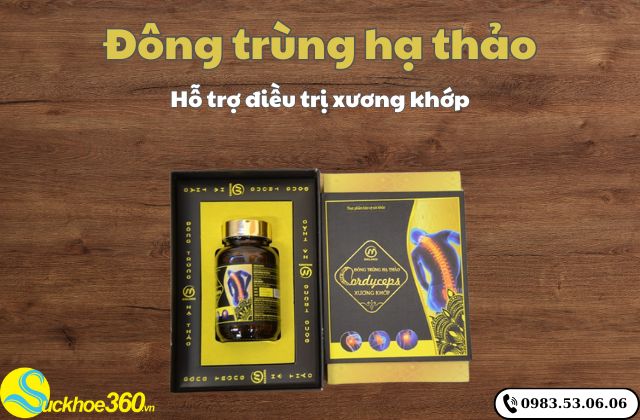 Đông Trùng Hạ Thảo Cordyceps là gì