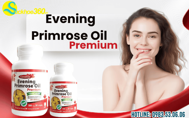 David Health Evening Primrose Oil Canada là gì?