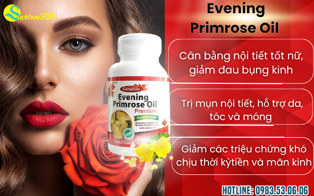 Công dụng của David Health Evening Primrose Oil Canada