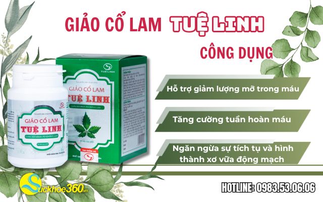công dụng của giảo cổ lam tuệ linh