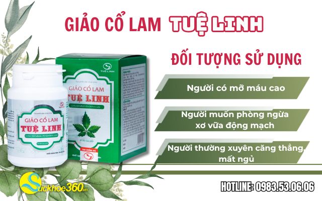 đối tượng sử dụng giảo cổ lam tuệ linh