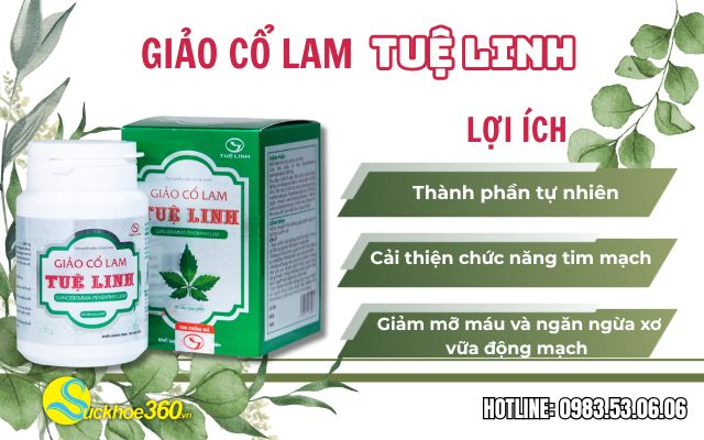 lợi ích của giảo cổ lam tuệ linh
