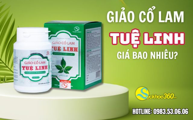 giá giảo cổ lam tuệ linh là bao nhiêu