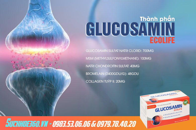 công dụng Glucosamin Ecolife
