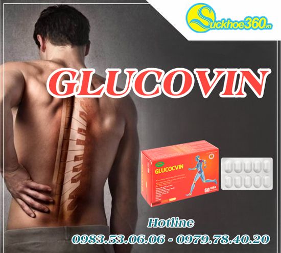 Công dụng Glucocvin giảm đau khớp, thoái hóa khớp