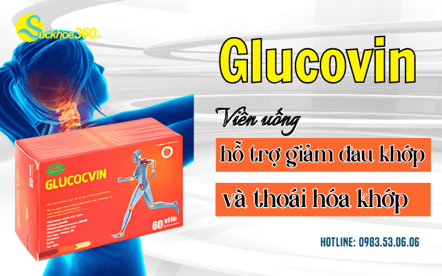 Glucovin giảm đau khớp, thoái hóa khớp
