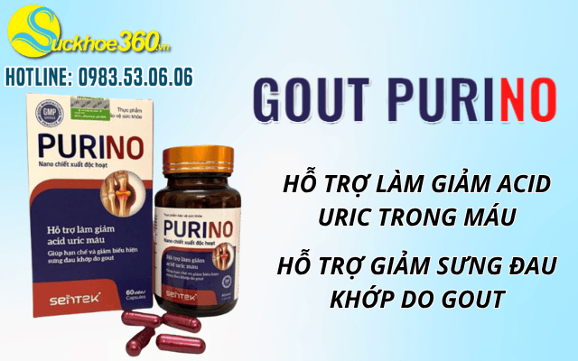 Gout Purino là gì?