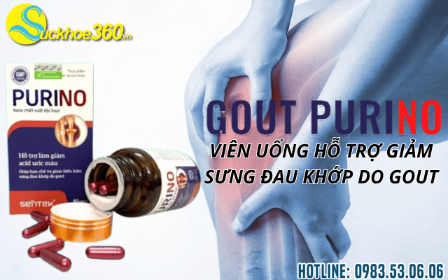 Gout Purino là gì?