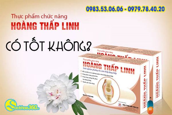 Hoàng Thấp Linh có tốt không