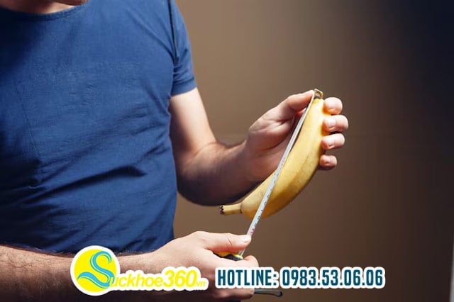 Kích thước dương vật là gì?