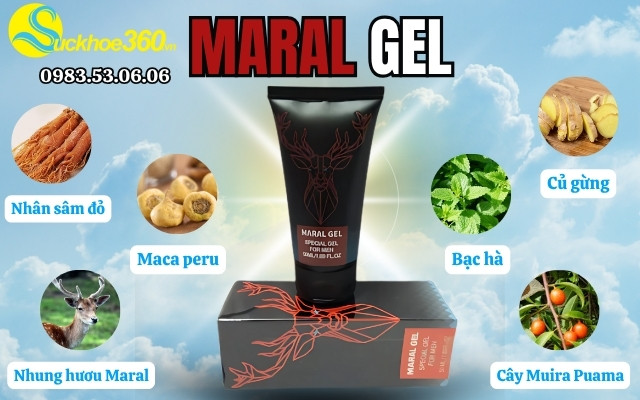 Những thành phần trong Maral Gel