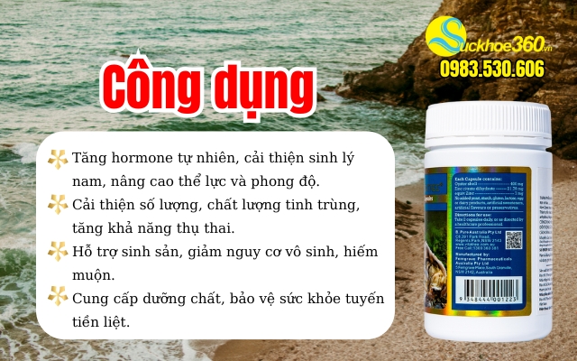 Công dụng Oyster Extract Vitatree