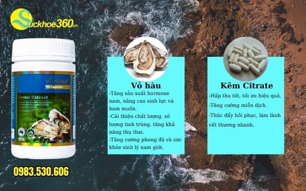 Thành phần Oyster Extract Vitatree