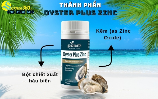 Thành phần chính có trong Oyster Plus Zinc