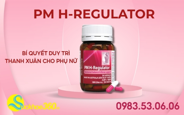 Giới thiệu tổng quan về PM H-Regulator