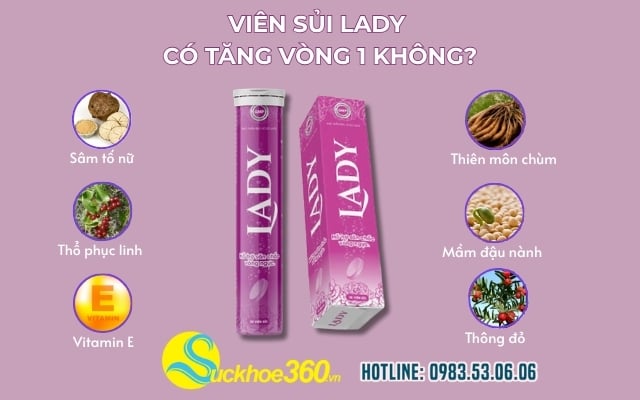 Thành Phần Viên Sủi Lady