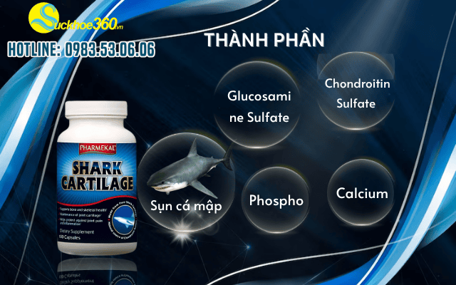 Thành Phần Chính Có Trong Viên Khớp Shark Cartilage Pharmekal
