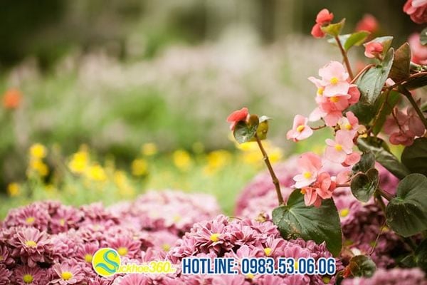 Dấu hiệu tần suất và thời gian quan hệ chưa hợp lý