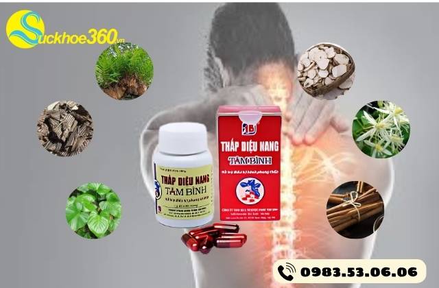 Thành phần chính của Thấp Diệu Nang Tâm Bình có gì?
