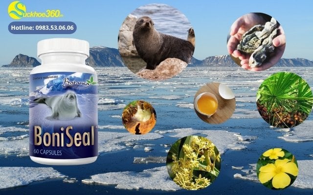 Thành phần của viên uống BoniSeal hỗ trợ cải thiện sinh lý nam gồm những gì