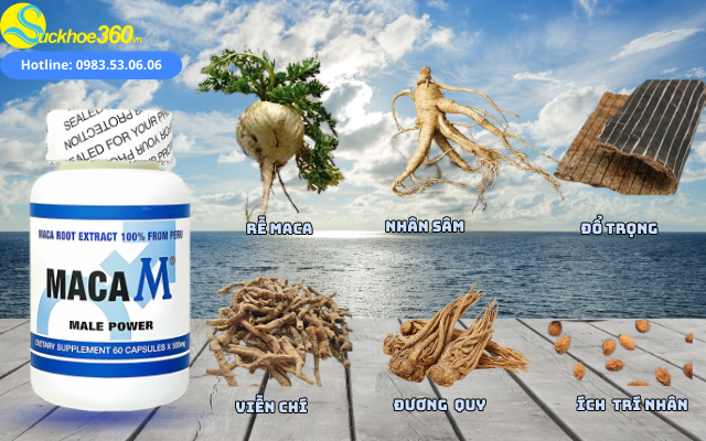 Thành phần của Maca M Male Power Mỹ 60V