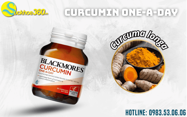 Thành phần chính của Blackmores Curcumin One-A-Day