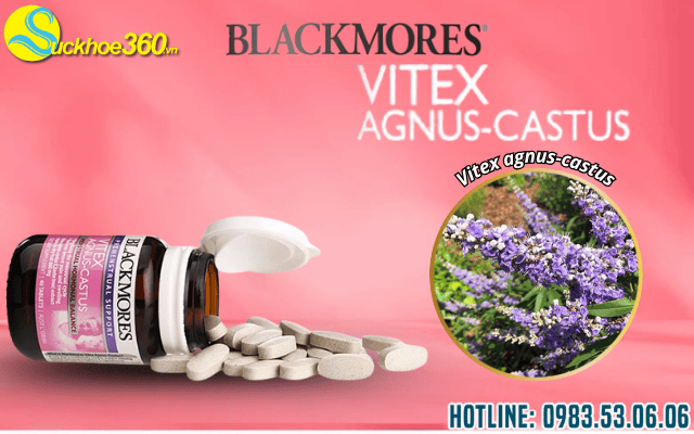 Thành phần chính của Blackmores Vitex Agnus Castus