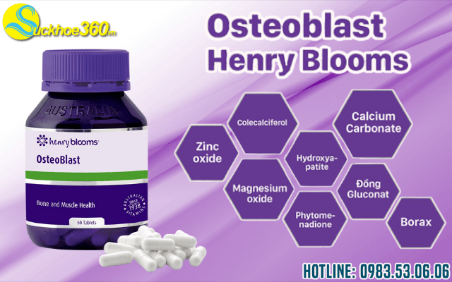 Thành phần chính của Osteoblast Henry Blooms
