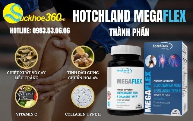 thành phần có trong hotchland megaflex