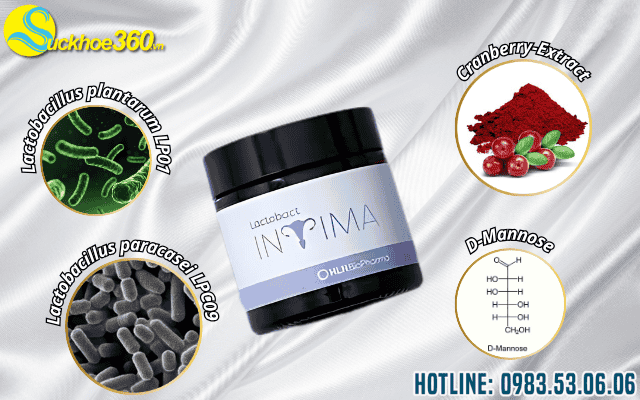 Thành phần của viên uống Lactobact Intima