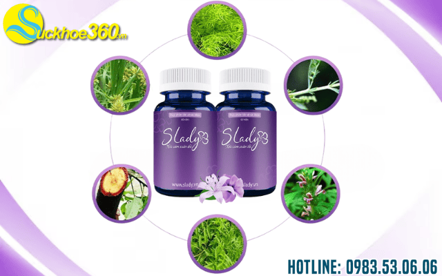 Thành phần chính của viên uống SLady