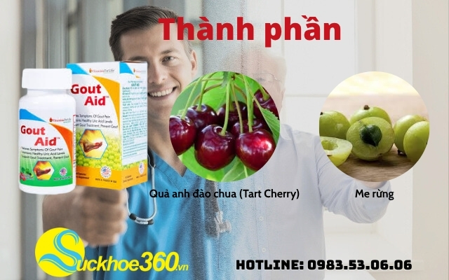 Thành phần của Gout Aid