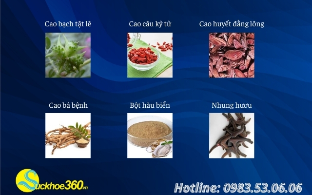 thanh-phan-cua-thien-ma-nam