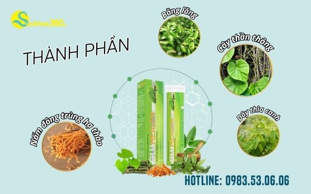 Thành phần GluHealth