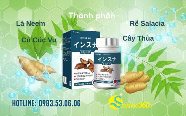 Phân Tích Chuyên Sâu Các Thành Phần Vàng Trong Insuna