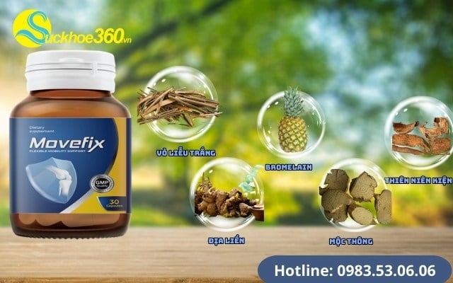 Thành phần viên khớp Movefix