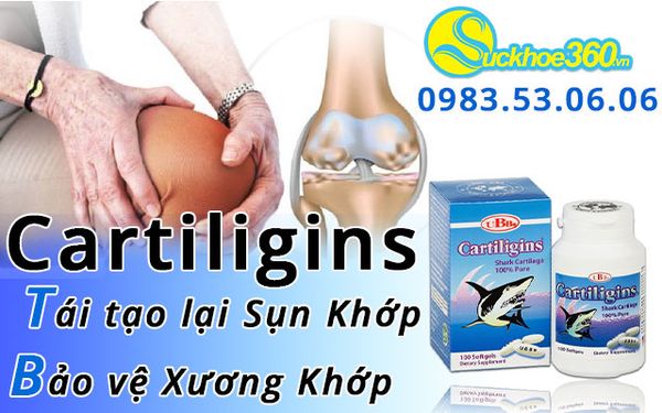 công dụng ubb cartiligins