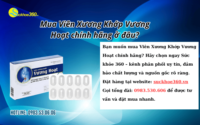 Viên Xương Khớp Vương Hoạt mua chính hãng ở đâu