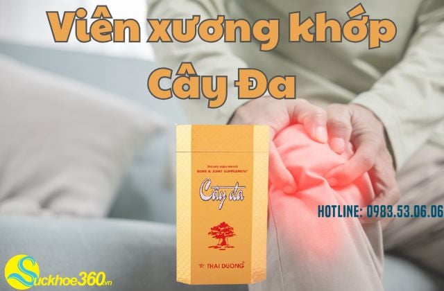 Giới thiệu sản phẩm Viên Xương Khớp Cây Đa