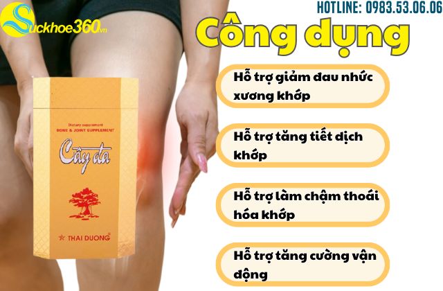 Công dụng của Viên Xương Khớp Cây Đa