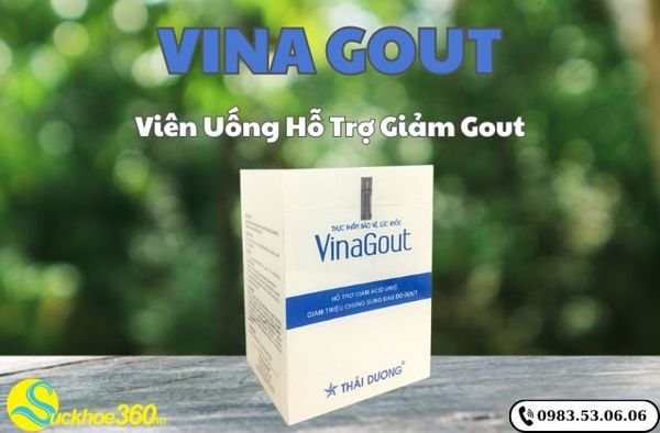 Vina Gout là gì