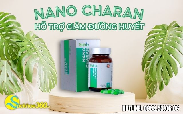 Nguồn gốc xuất xứ Nano Charan