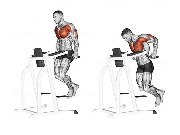 5 Bài Tập Cơ Ngực Dưới Hiệu Quả Cho Nam Tại Phòng Gym